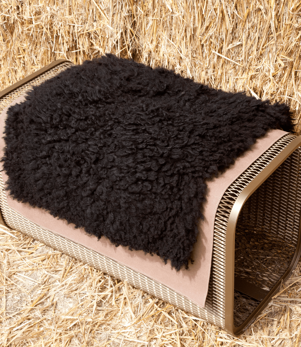 Caballito piccolo thumbnail 6